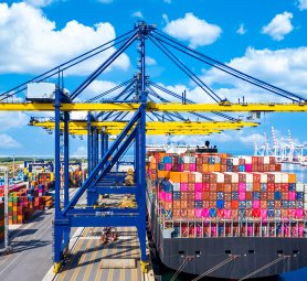 service - cargo agents